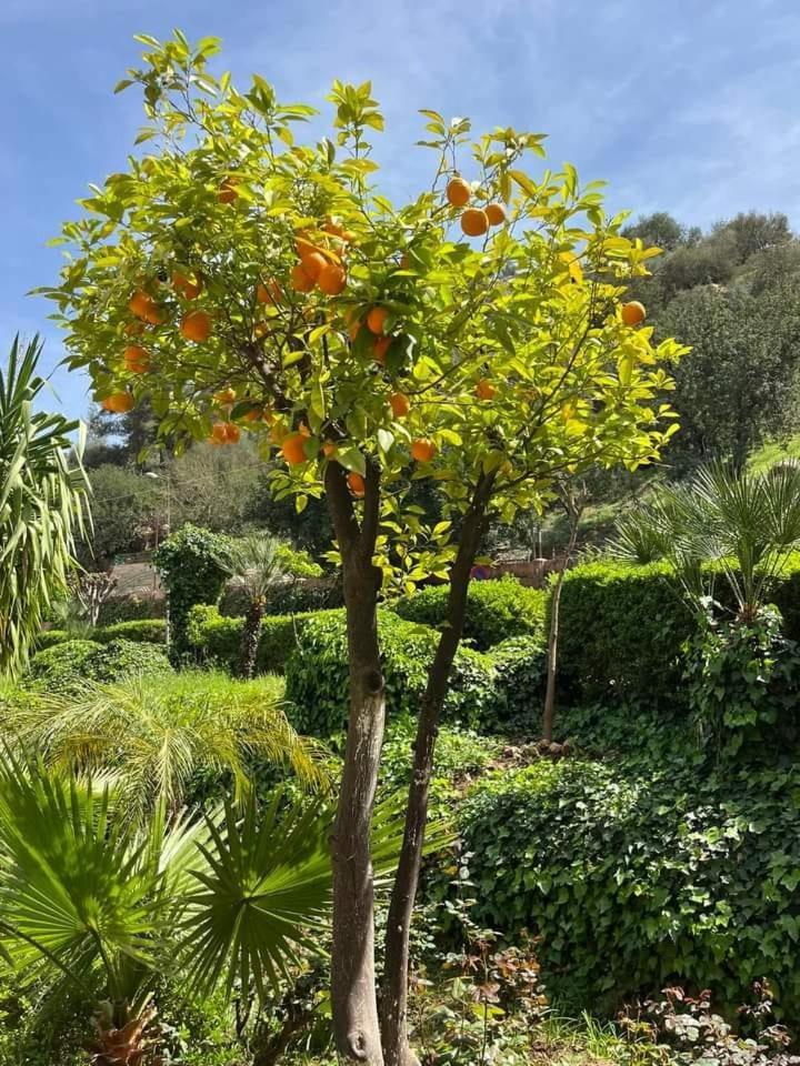 Maison D Hotes Tioute Chez Abdelmajid エクステリア 写真